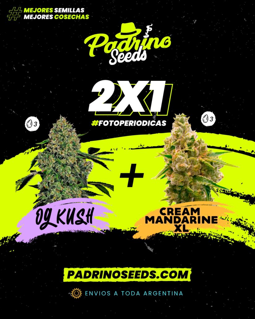 BuonGiorno Familia ✨💚❤️🐝
#communitycannabis #argentina #bienestar #bless #onelove ✨🐝