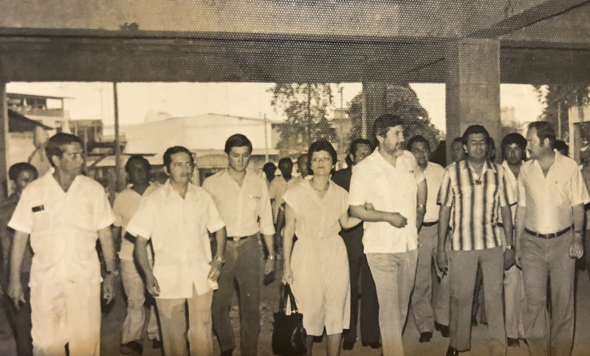 Golfo Golfo Charli tweet media