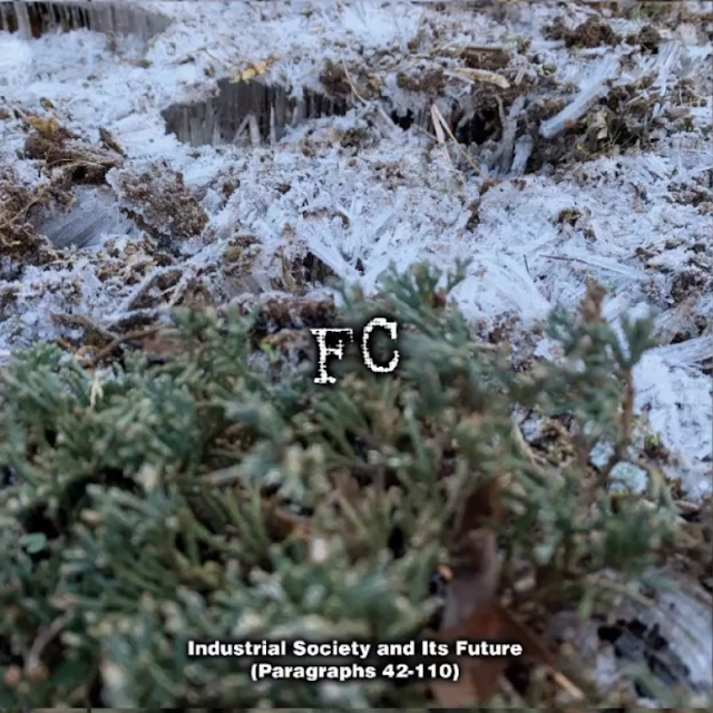 Scholomance_Web's tweet photo. Zero Dimensional Records nous offre les ténèbres primitives et anarchistes avec le nouveau FC (Black Metal - Japon), inspiré par Theodore Kaczynski
Info➡️https://t.co/zBO6WKO2ZC
#scholonews #FC #BlackMetal #Metal #Metal #Anarchy #Darkness #TheodoreKaczynski #Japon #Japan @Z_D_R https://t.co/6b95xnHBXb