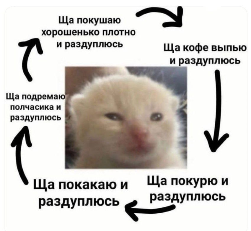 yatonohuyami's tweet image. этот мем как каждый мой рабочий день