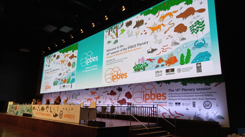 💡 Ispra a #IPBES10 💡
Iniziata oggi a Bonn la 10° plenaria di @ipbes, la Piattafoma intergovernativa di policy scientifica su #biodiversità e servizi ecosistemici.
Nel corso della riunione sarà presentato il rapporto IPBES sulle #speciealiene invasive.