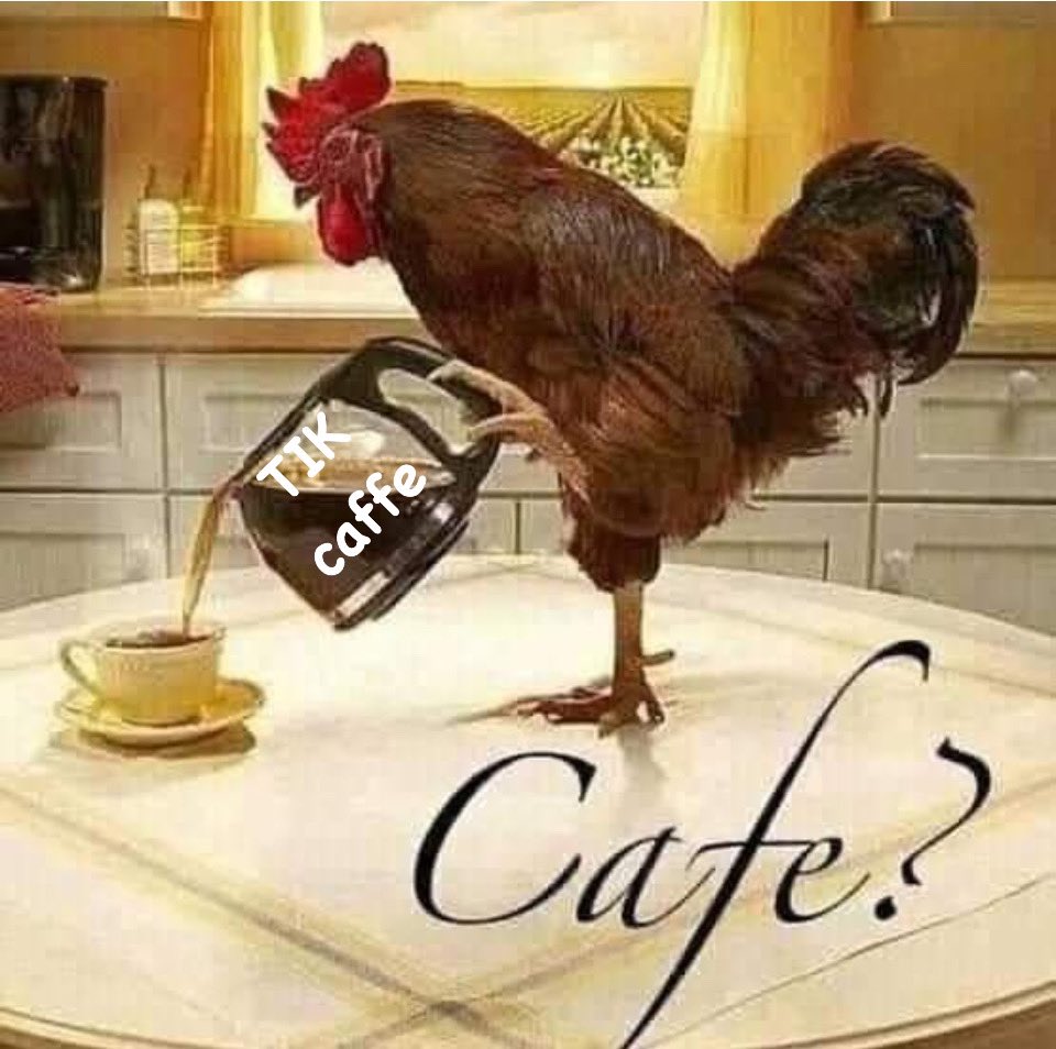 CaffeTik's tweet photo. Kikiriki 🐔!!!!
#cafesensible #cafedeespecialidad #Chiapas #arabiga
https://t.co/Old0jtnohr
Pídelo : INBOX 📨 https://t.co/VCdngimM6h