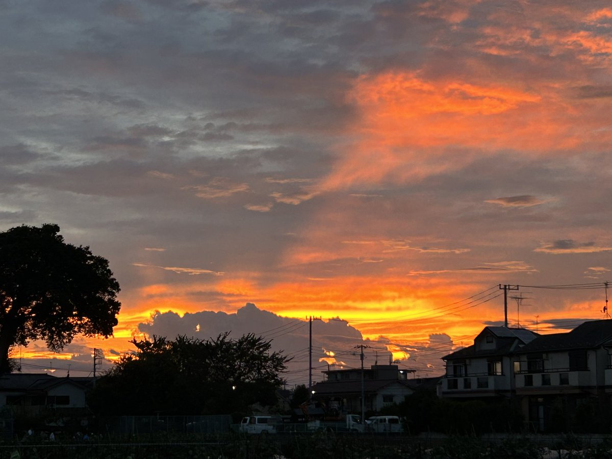 Nobuko0616's tweet photo. 昨日8/27の夕空
光芒⚡️

#夕空
#夕焼け #光芒 https://t.co/w9s1mpXuQd