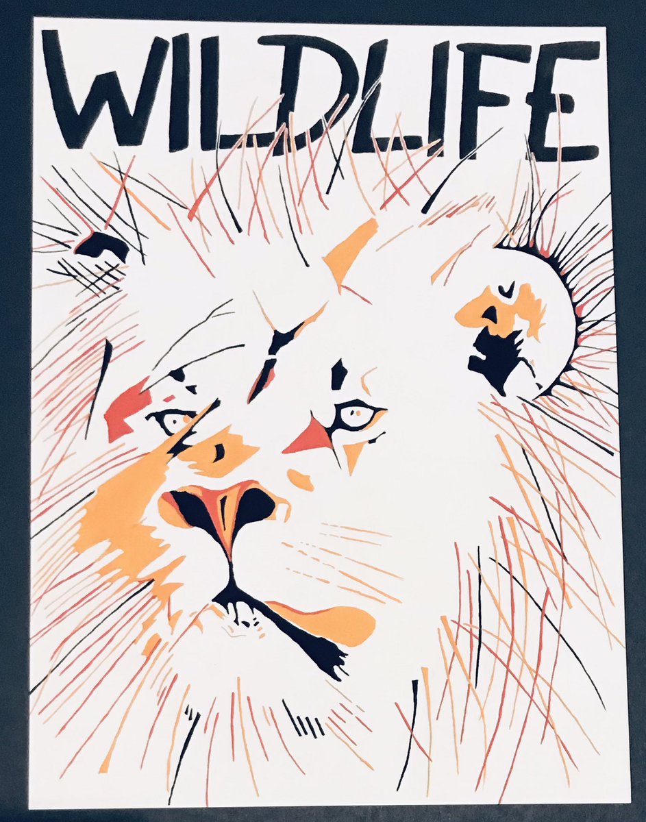 Hope Song tweet media