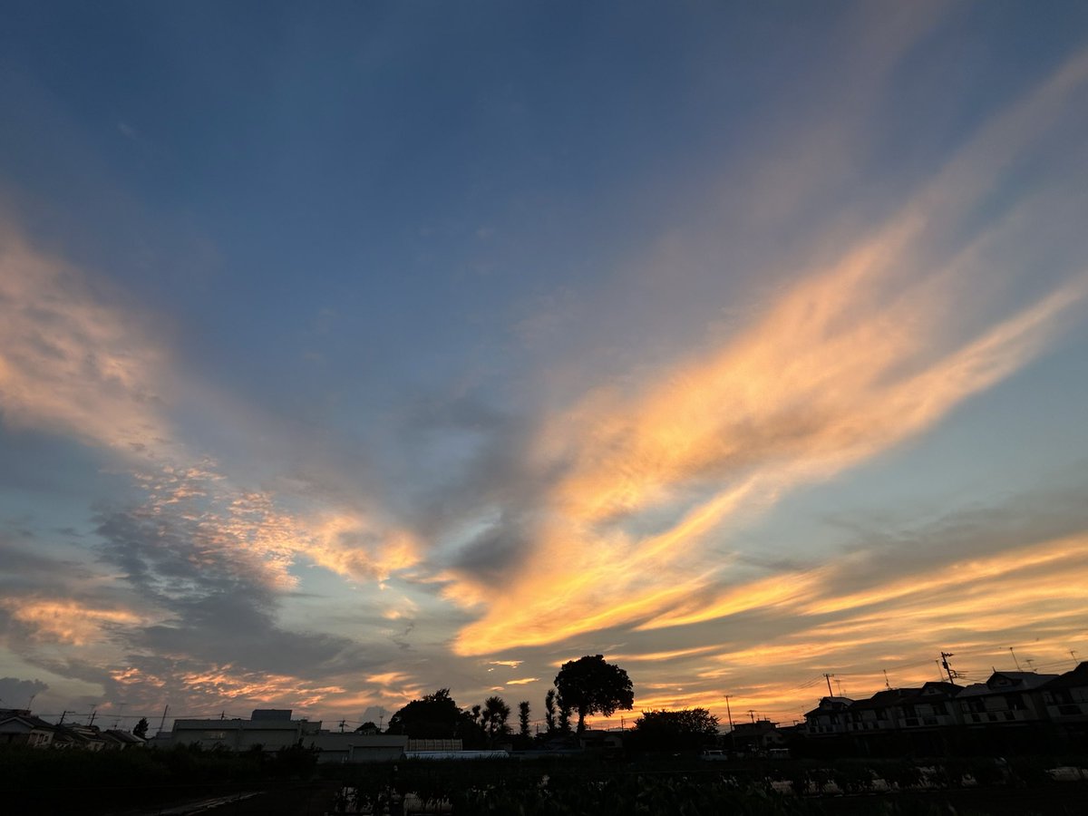 Nobuko0616's tweet photo. 8/28 今日の夕空🌆
パワフルで、夏空の終わりを告げるような夕空

#夕空　#夕焼け
#空を見上げるのが好き https://t.co/ziMvz8BUXn
