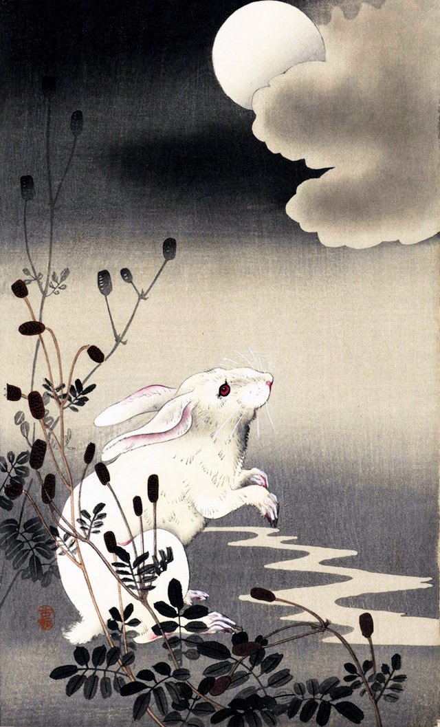 Has cut all earthly ties. Laughing, I point
To the swift clouds. Jewel Hare blazes over all.

📓Zen Poems of China &amp; Japan: The Crane’s Bill ❀
🖊️Gen of Kohoin (Chinese Poet, 1085) ❀

🖼️White Hare Under Full Moon, 1920 ❀
🎨Ohara Shōson (Japanese Painter) ❀