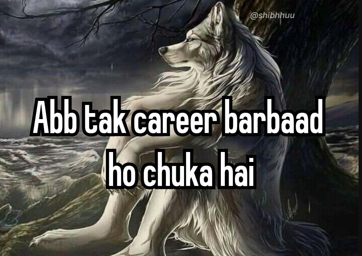 shibhhuu's tweet photo. 2 minutes after scrolling LinkedIn : https://t.co/KgNPhZp17x