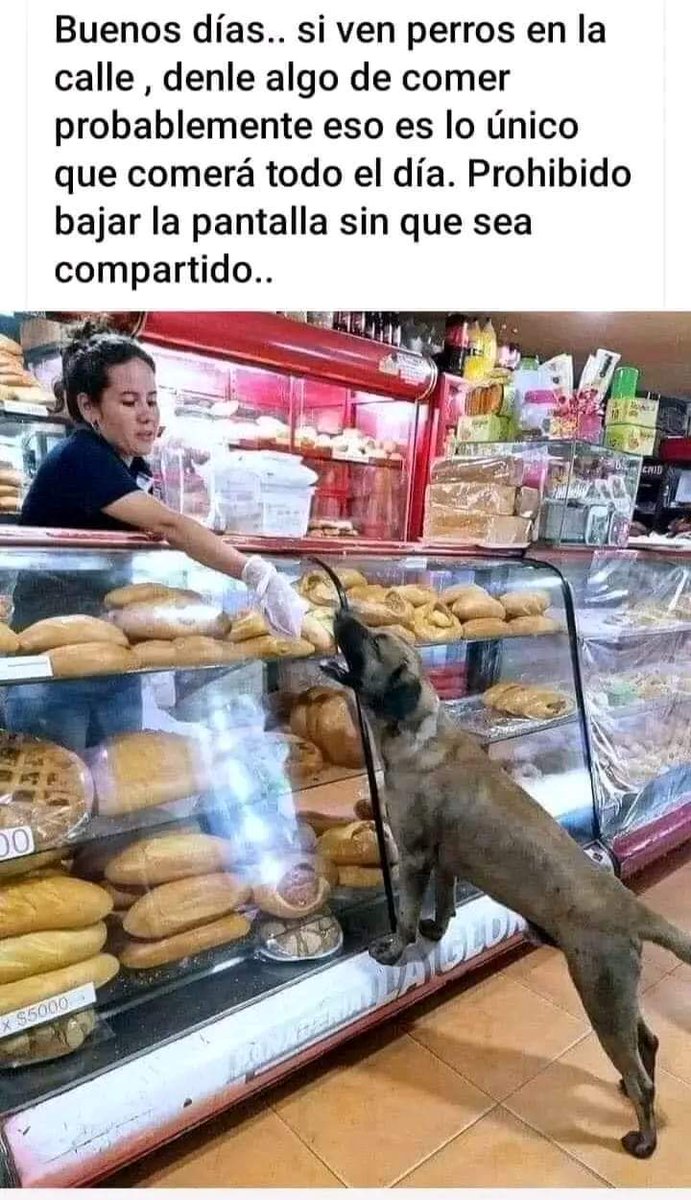 Buenos días Feliz inicio de semana ✨💖