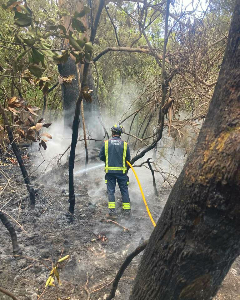 🔴🔥 Novedades #IFArafoCandelaria.

📢 El incendio baja a nivel 1 y el Cabildo de Tenerife asume su dirección.

ℹ Tras neutralizar el último frente activo, situado en Güímar, el incendio se encuentra en camino de ser controlado. 
👨‍🚒 #bomberostf sigue trabajando.
