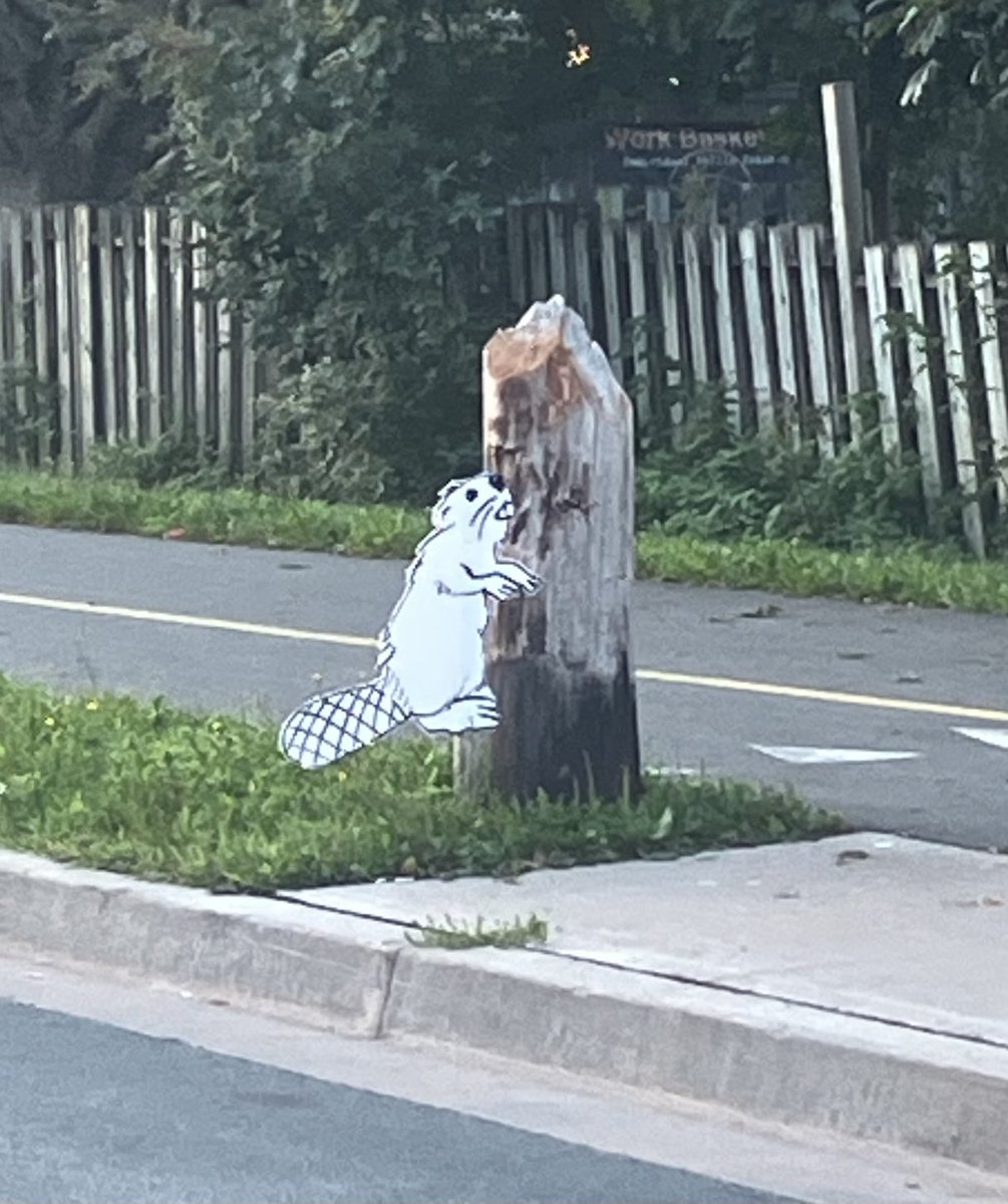 MarinaCavanaugh's tweet photo. This gave me a giggle on the way to work this morning. #BayersRoadHalifax https://t.co/x17ElBTPeR