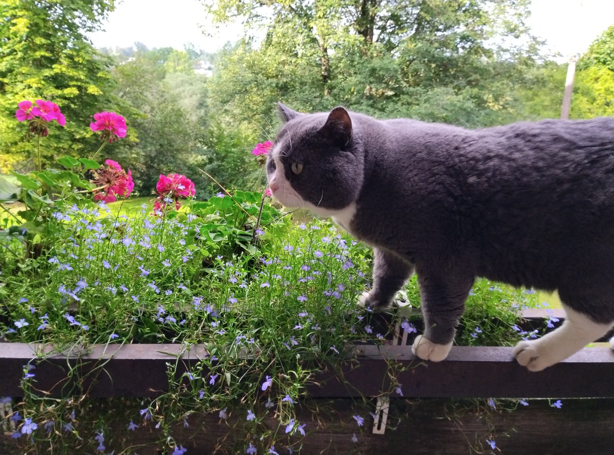 Jolanta 🇱🇻 🇺🇦 tweet media