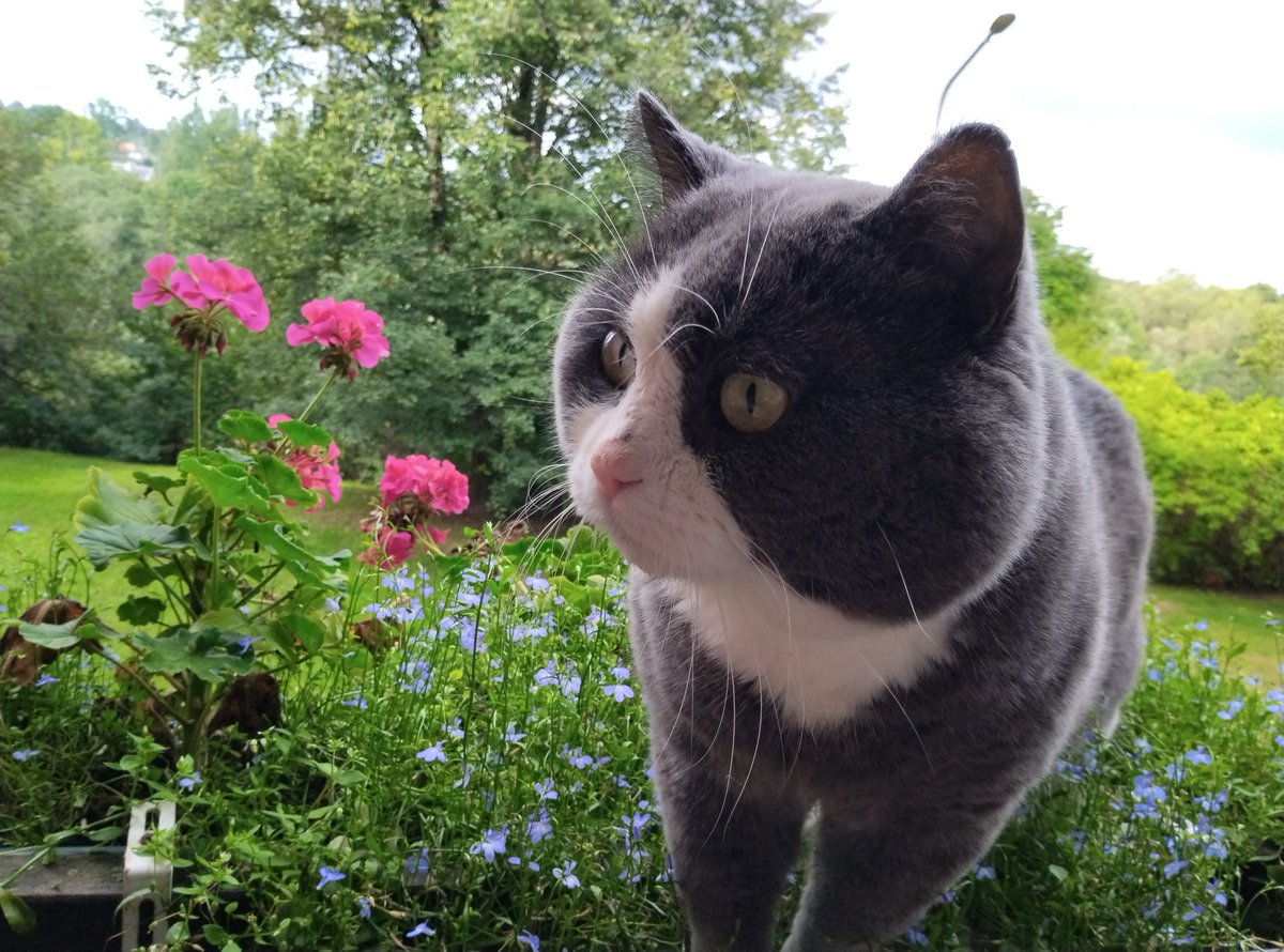 Jolanta 🇱🇻 🇺🇦 tweet media