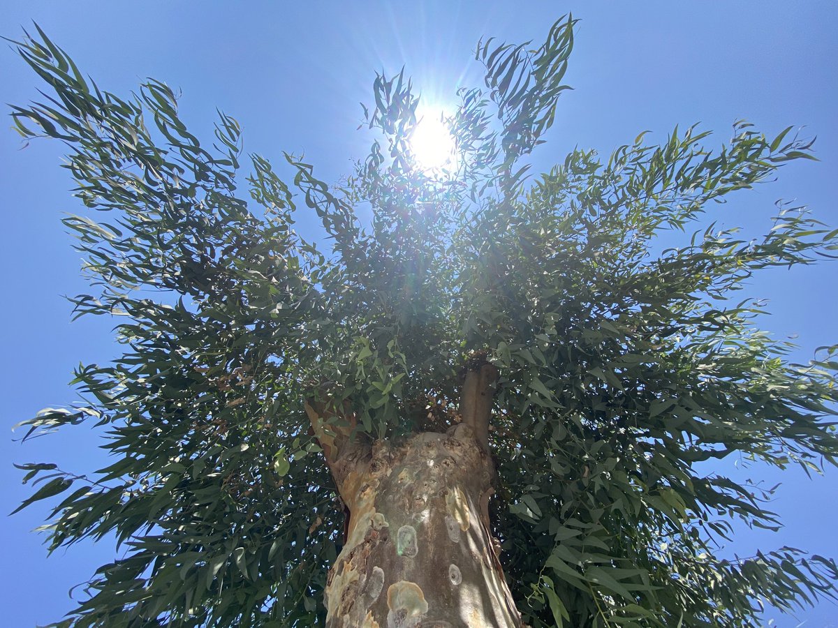 No filter. Relaxation time.