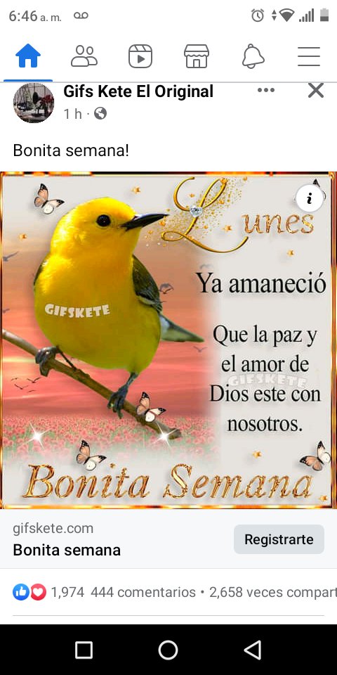 Juana Guzmán (@juana_guzman_r) on Twitter photo 
