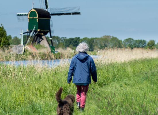 In het #water van natuur- en recreatiegebieden zit nog altijd te veel #bestrijdingsmiddelen. Dat concludeert <a href="/natuurenmilieu/">Natuur & Milieu</a>  in een onderzoek met de titel 'Hoe giftige bestrijdingsmiddelen onze natuur bedreigen.' blog.hydrotheek.nl/2023/08/bestri…