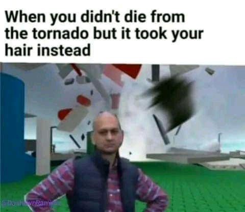 Emiratti's tweet photo. if you ever played roblox natural disaster survival, you will understand this https://t.co/KrQ4zfQSh2