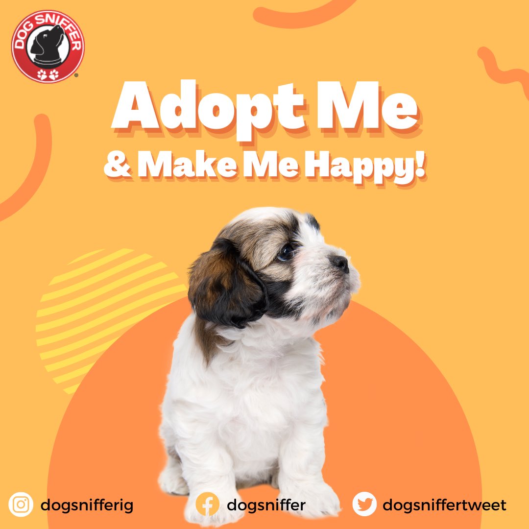 DogSnifferTweet's tweet photo. Dog adoption events this week in LA.
#LosAngeles #dogevents #adoptions https://t.co/ePho6GSHIq