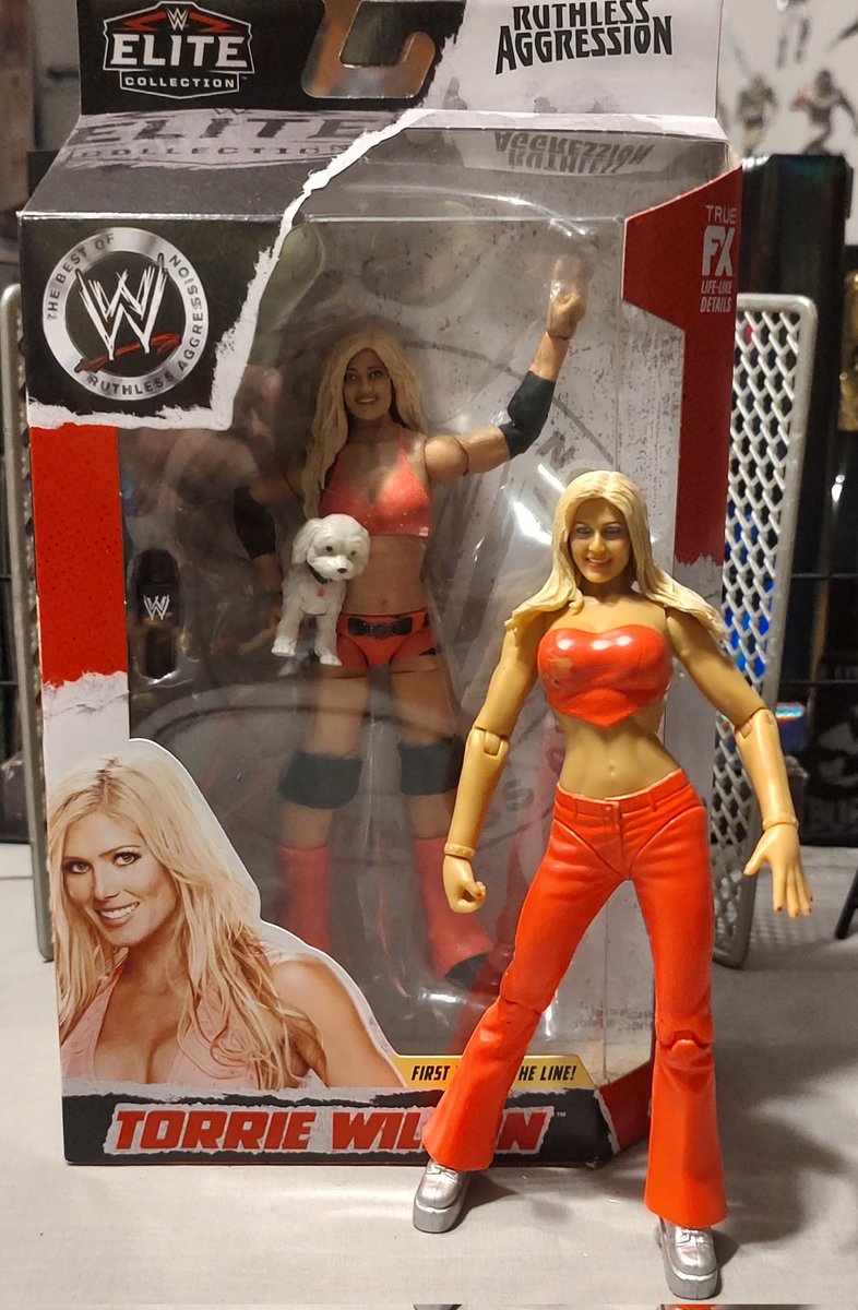 MeanDean1017's tweet photo. First time in the line, Torrie Wilson! 

#figlife #ruthlessaggression #torriewilson #mattel #elitecollection https://t.co/Ws7x85iIst