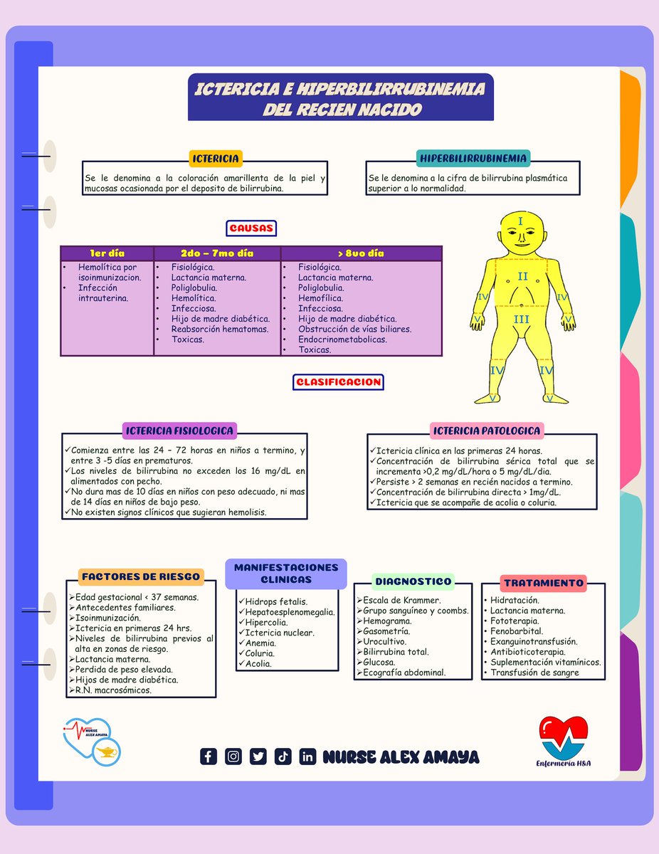 ICTERICIA E HIPERBILIRRUBINEMIA DEL RECIÉN NACIDO
#newpost #flashcard #homeoffice #enfamerica #goodnotes  #enfermeria #nursing #enfermagen #infirmiere #infermieristica #ctoenfermeria #amirenfermeria #temarioeir #opozulo #tens #medicine #trending #newnurse #nurseeducation #trend