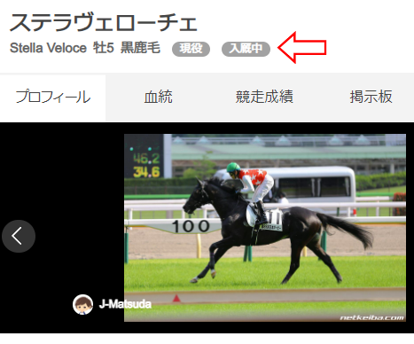 netkeiba's tweet photo. ご周知の事実かとは思いますが、netkeibaにも反映されました。

ステラヴェローチェ | 競走馬データ
https://t.co/2yHWKZOkZj https://t.co/ZFewBh2ChV