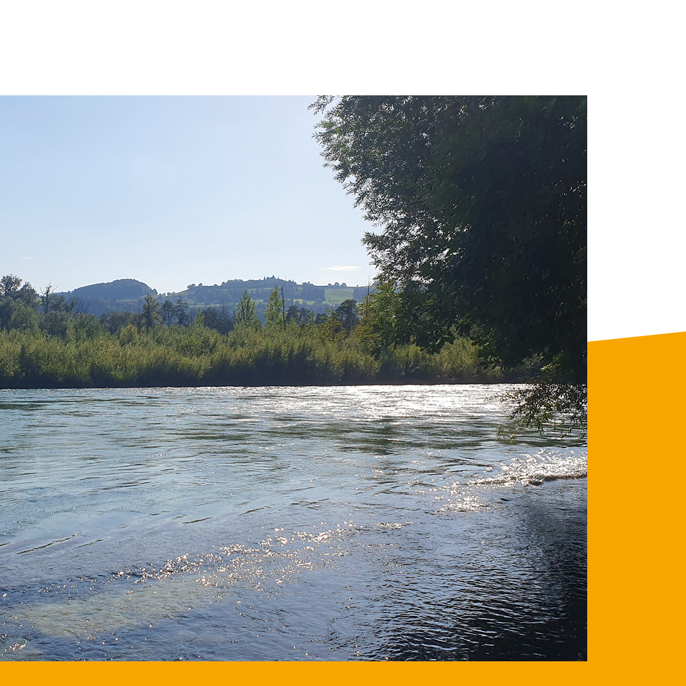 Über die Arbeit hinaus 🌅 
Bei POLYPOINT wird der Teamgedanke auch nach Feierabend gelebt 🥳
Zum Beispiel beim «Aareschwimme» 🏊‍♀️
Du möchtest nächstes Mal mit dabei sein? Aktuelle Einstiegsmöglichkeiten findest du hier: bit.ly/44uN9u3 😉