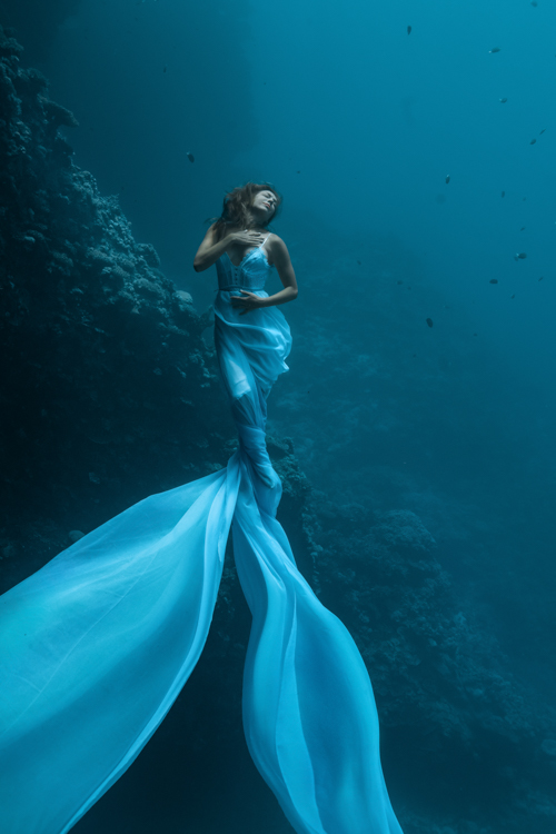 Über die Herausforderungen und die Faszination hinter der Unterwasserfotografie spricht Christian Zink in seinem Beitrag.

blog.sigma-foto.de/2023/08/viel-w…