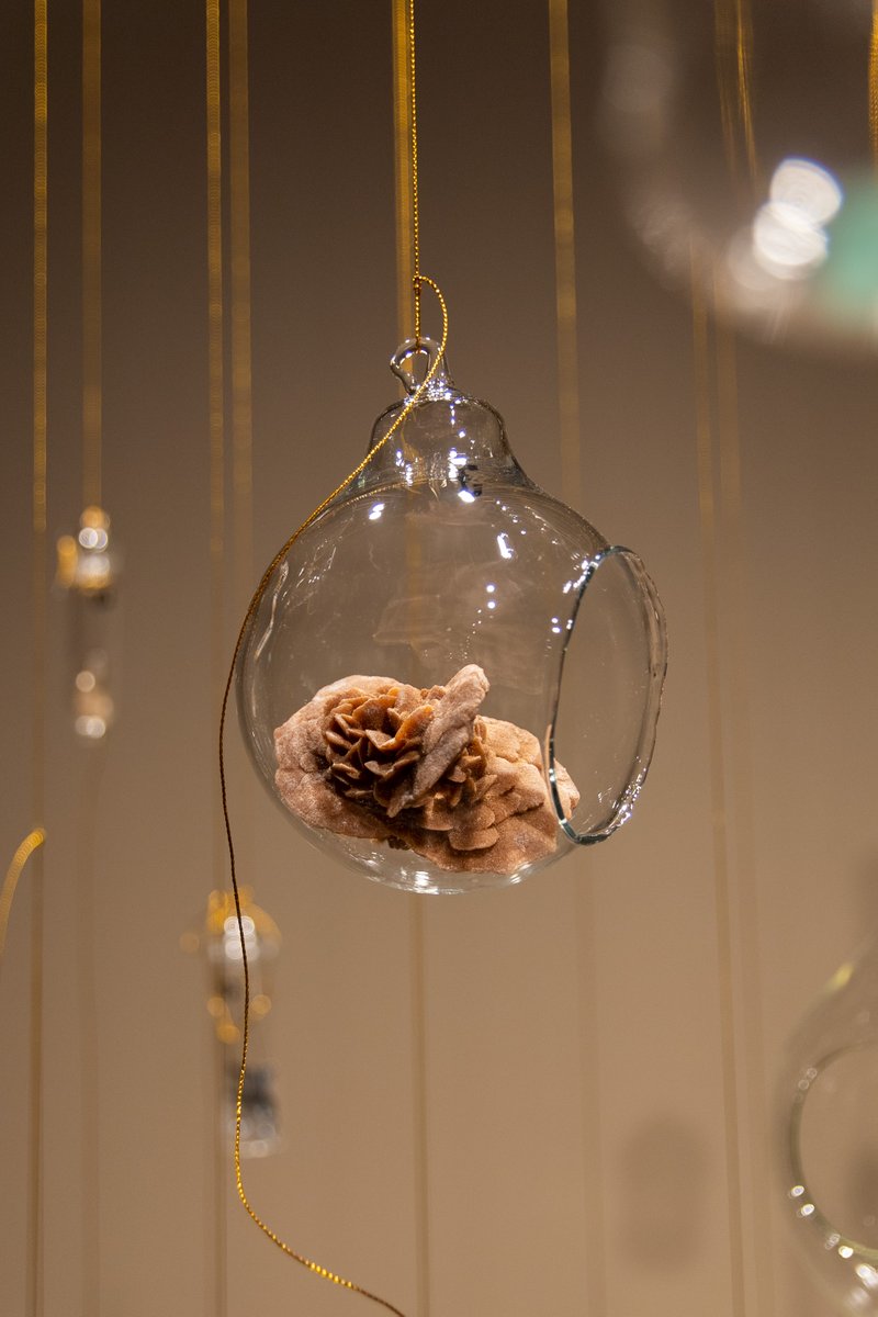 UniversidadeUSC's tweet photo. 📣Última semana para visitar a exposición 'Minerais. Ver o Invisible. De Haüy á ermeloíta’

🗓️No Colexio de Fonseca ata o 2 de setembro 
⏰Horario de visitas, de 11 a 14 e 17 a 20.30 horas

📸 @mhnUSC 

🔗https://t.co/T1l1oUvOzJ https://t.co/kk8Jk5Bryu