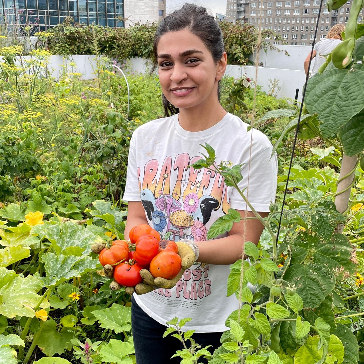 Proud to be a #rooftopfarmer ! On the #DakAkker #rooftopfarm on an officebuilding downtown #Rotterdam 🥕🥒🌶🍅🌱. 📷 Esther Prinsze 🍃.