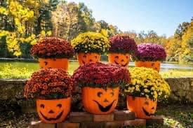 EEEEEEKS!!! 💀The day has come! Check your email parents…. There is a spooky surprise waiting for you to help you have the coolest looking porch this fall! 🍂🍃