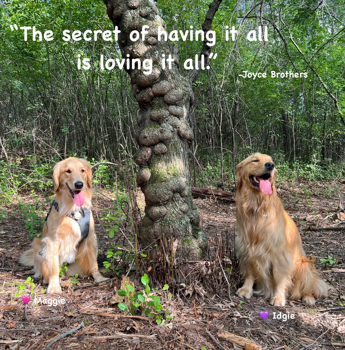 We went to the woods yesterday to heal Momma’s heart… Hope you find nothing but love on this day… 💜🩷❤️ #goodforthesoul