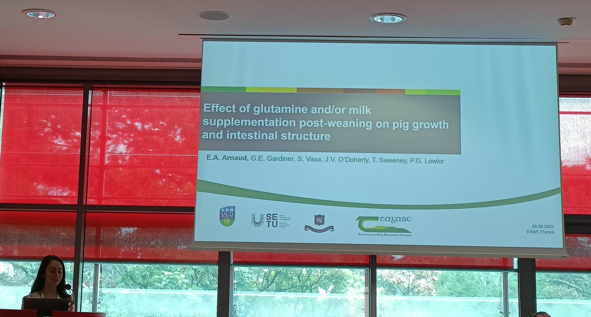 Roberta Maria D'Alessio (@robertamda) on Twitter photo Another fantastic talk from the <a href="/TeagascPig/">TeagascPig</a> group here at <a href="/eaap2023Lyon/">Lyon EAAP</a>. <a href="/ElisaARNAUD2/">Elisa ARNAUD</a> is talking about the effects of glutamine and/or milk post-weaning Another fantastic talk from the <a href="/TeagascPig/">TeagascPig</a> group here at <a href="/eaap2023Lyon/">Lyon EAAP</a>. <a href="/ElisaARNAUD2/">Elisa ARNAUD</a> is talking about the effects of glutamine and/or milk post-weaning