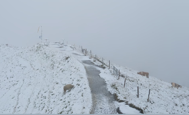 meteoschweiz's tweet photo. Unterschiedliche #Schneefallgrenzen: Im Osten Regen auf dem Säntis in 2500 m Höhe (Bild links), auf dem #Alpentower 2250 m oberhalb Meiringen, als auch auf der Sunnegga 2288 m oberhalb #Zermatt dagegen liegt bereits Schnee. Quelle: Roundshot https://t.co/lS4wtlSOhl