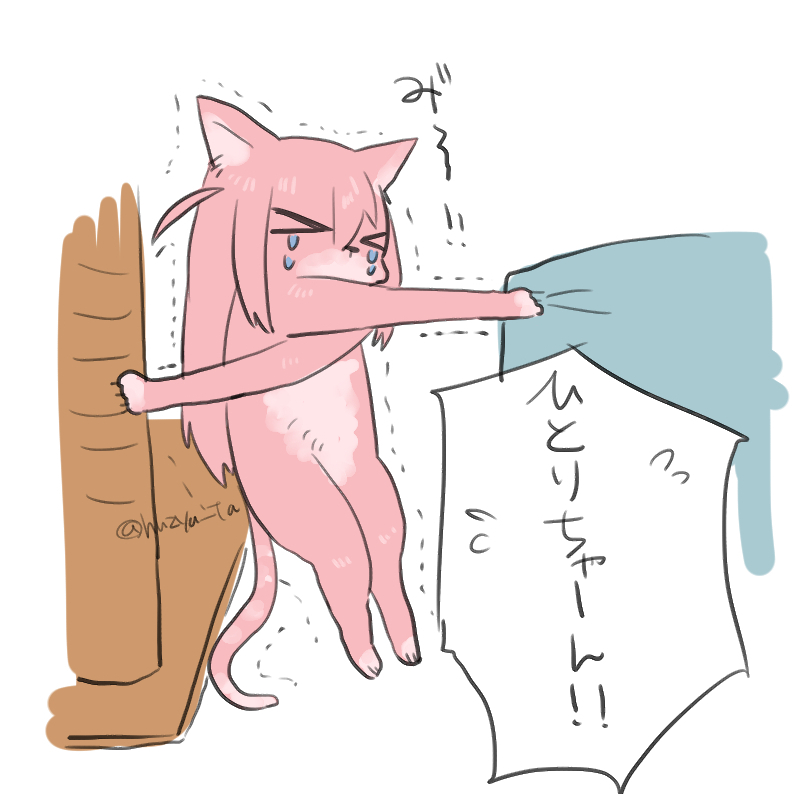 ぼちねこちゃん… 
