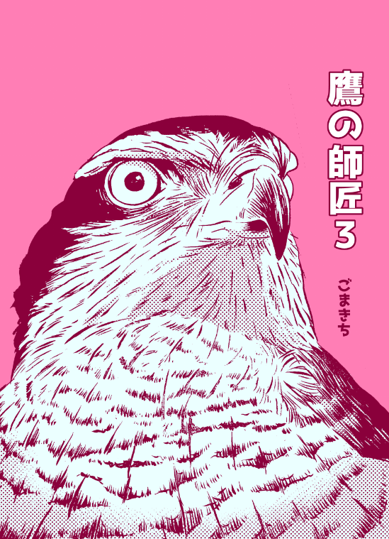 明後日からですね、わくわく野鳥博(8/30～9/5、京急百貨店7階催事場) サシバとオオタカの羽根つき絵を会場に発送しました。 本の方は、印刷所から会場に直送されるのでわたしは現物を見ないまま…なのですが、普通の漫画単行本サイズで、本文50ページです🙇‍♀️ #わくわく野鳥博