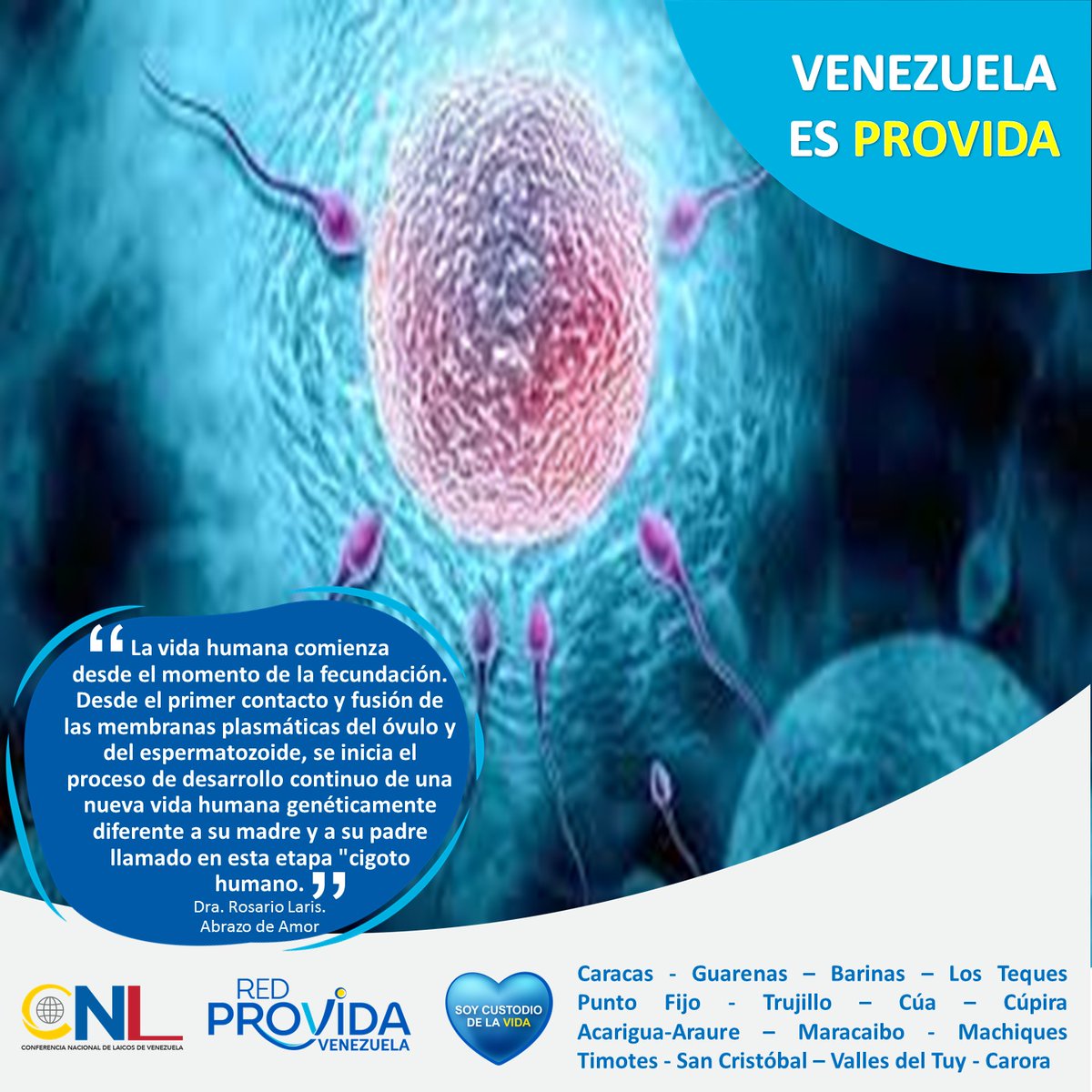 redprovidavzla's tweet photo. Venezuela es Provida https://t.co/ggq0zT96d4