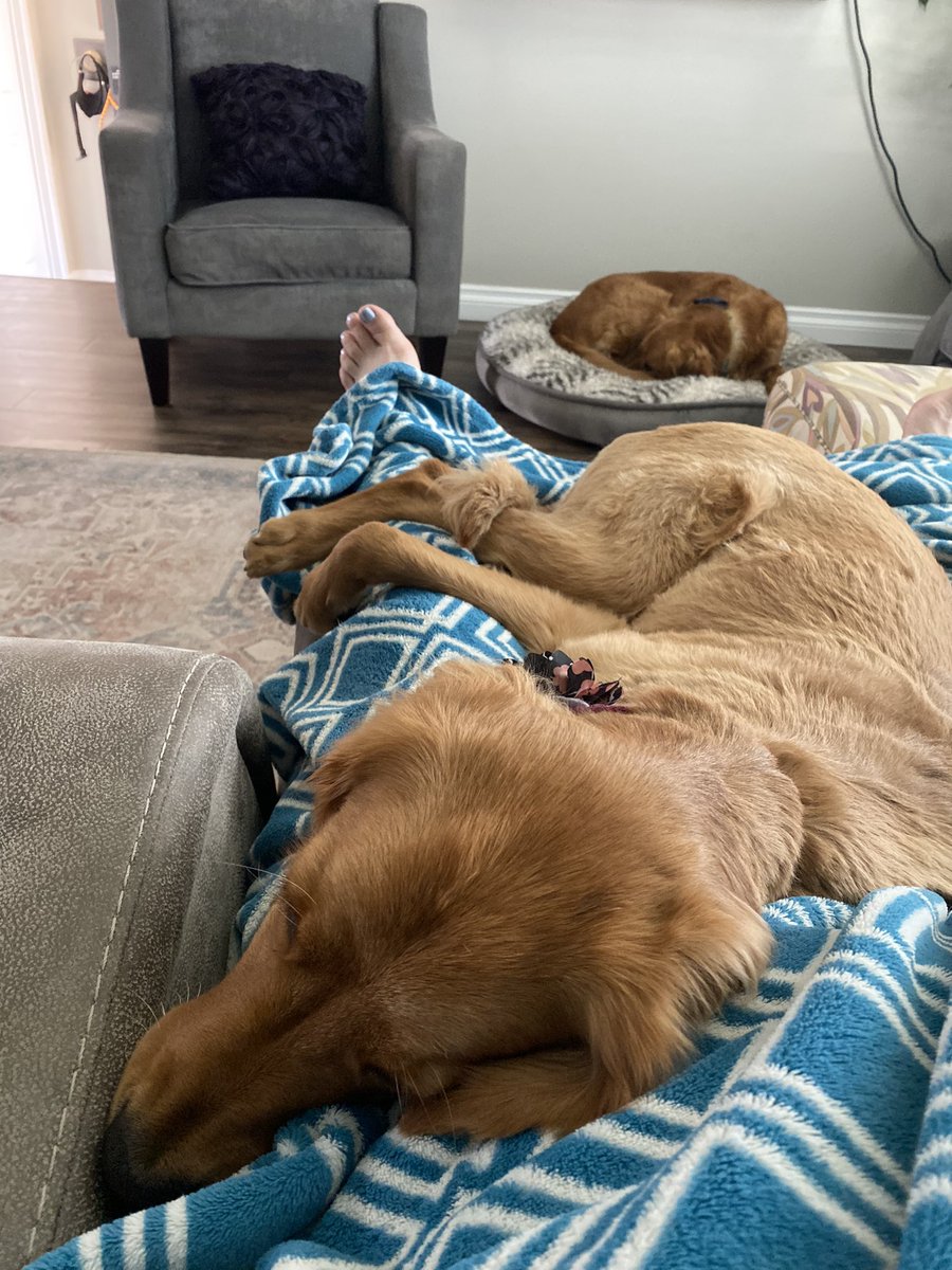 AuntyPretty tweet media