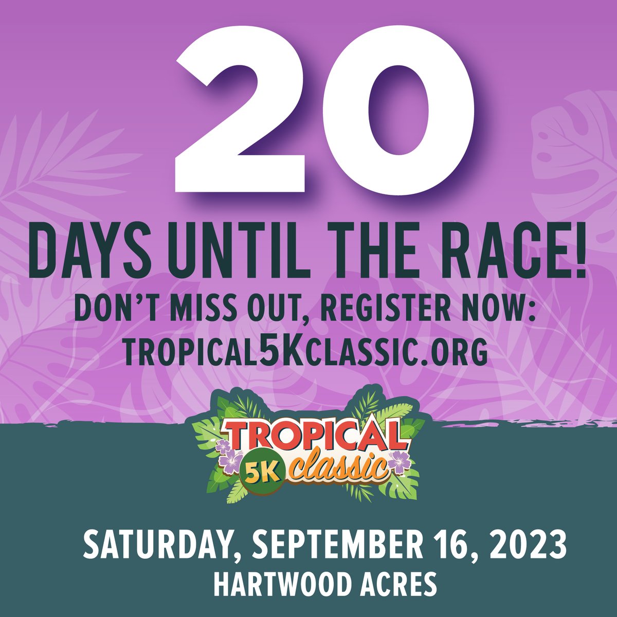 Tropical 5K Classic tweet media