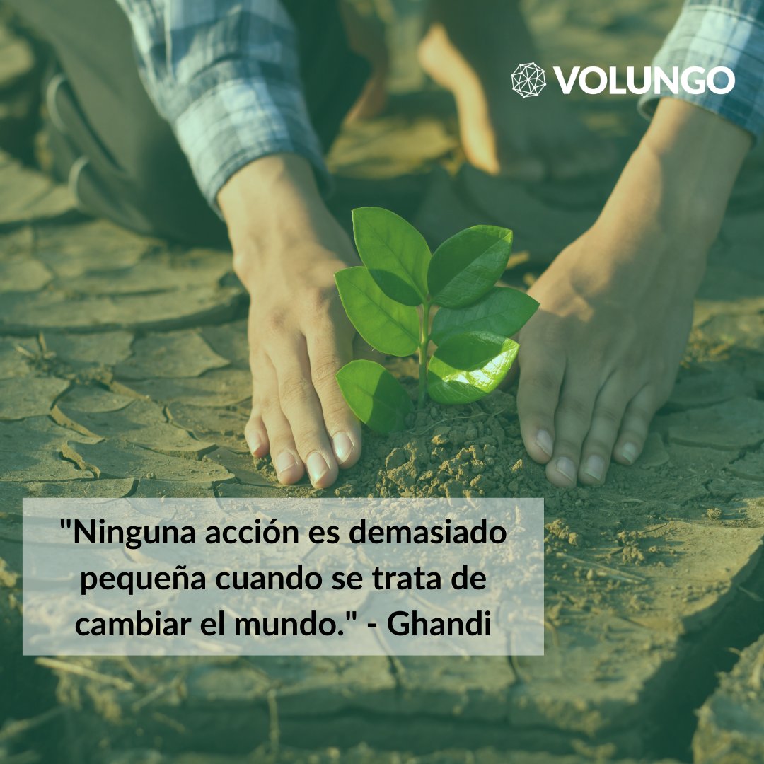 Volungo's tweet photo. Cada paso que das hacia un mundo mejor importa. ¡Vamos juntos a inspirar el cambio con cada pequeño gesto!
#JuntosPorElCambio #voluntariado #volungo https://t.co/HAhi3oXax9
