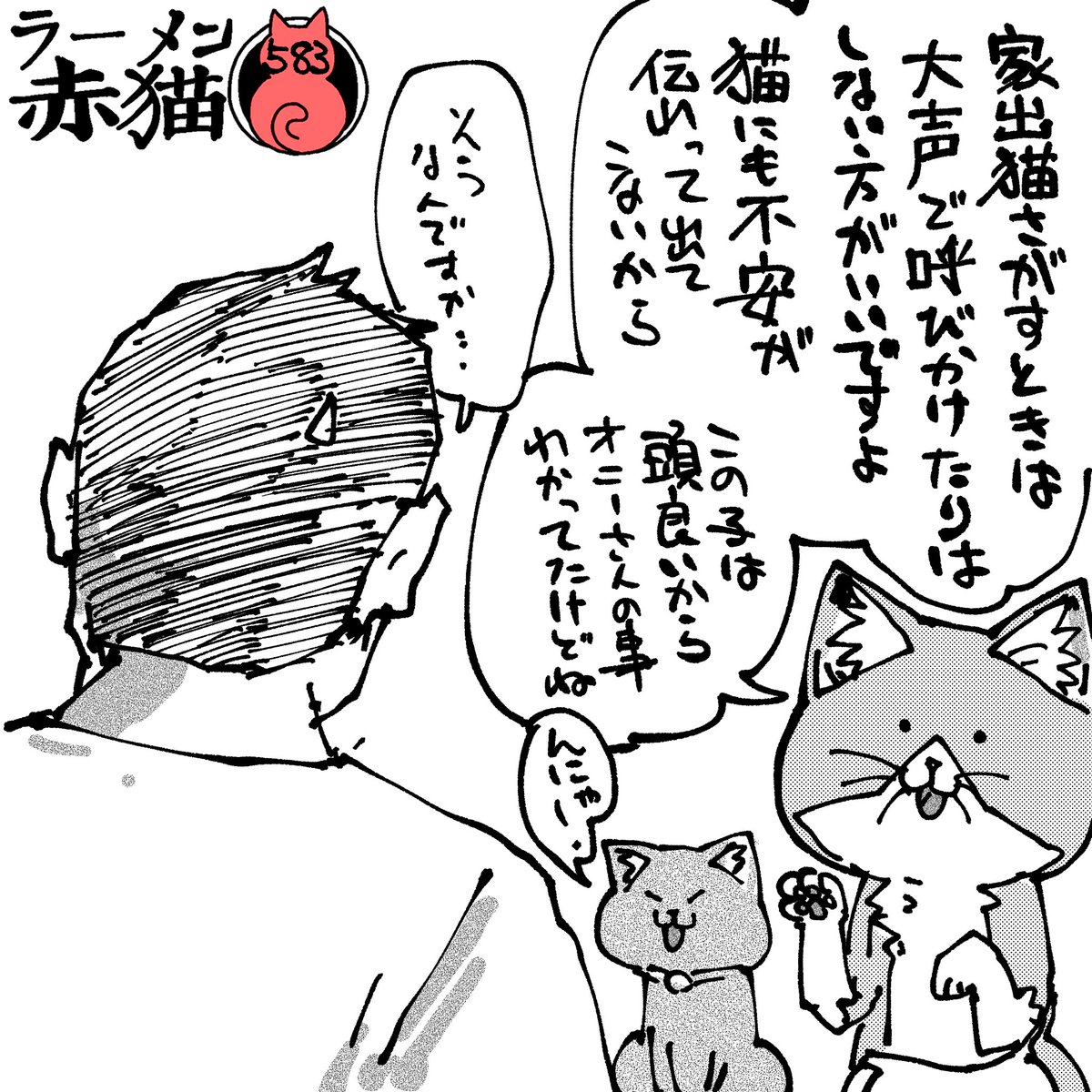 赤猫団