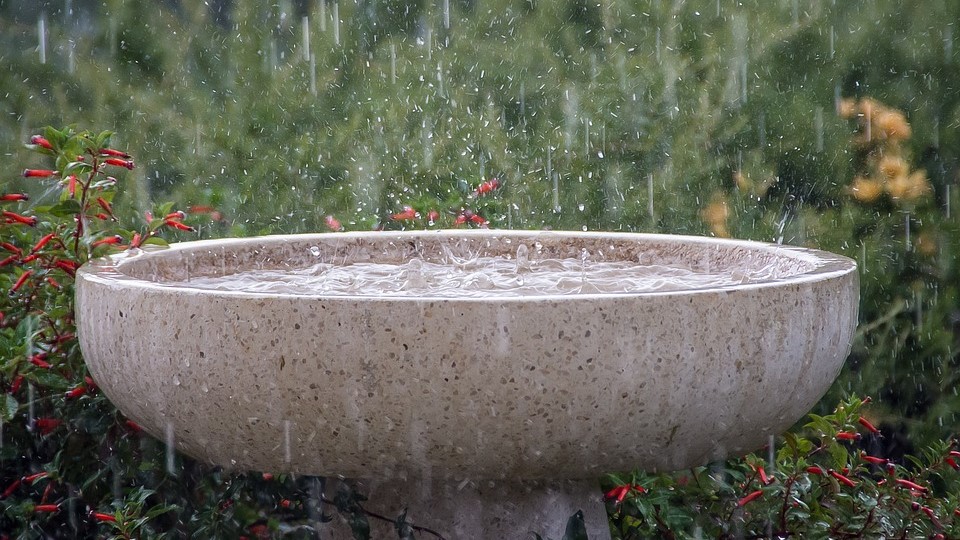 Deltares onderzocht of regenwater een substantiële bijdrage kan leveren aan de watervraag van particulieren. Het antwoord volgens de onderzoekers: ja. Daarom pleiten ze o.a. voor het verplichten van wateropvang bij nieuwbouw
h2owaternetwerk.nl/h2o-actueel/re…