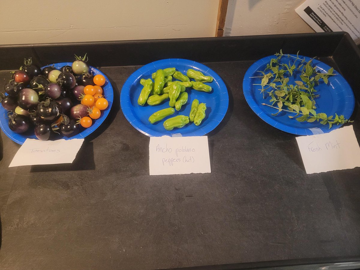 Today's harvest from our tenant community garden at 379 Gilmour!