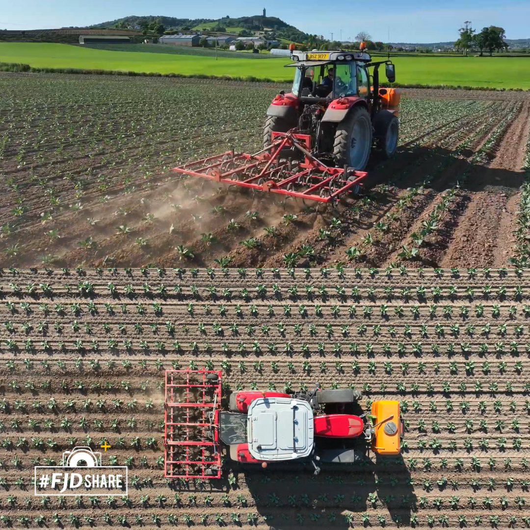 FJDynamics's tweet photo. We've seen some impressive photography lately, but we know you have even more to offer. Share your best shot in the comments and let's find out! 📸

#FJDynamics #AutosteeringKit #FJD  #autosteer #precisionfarming #smartfarming #gnss #Agriculture https://t.co/5jKo8BQckm