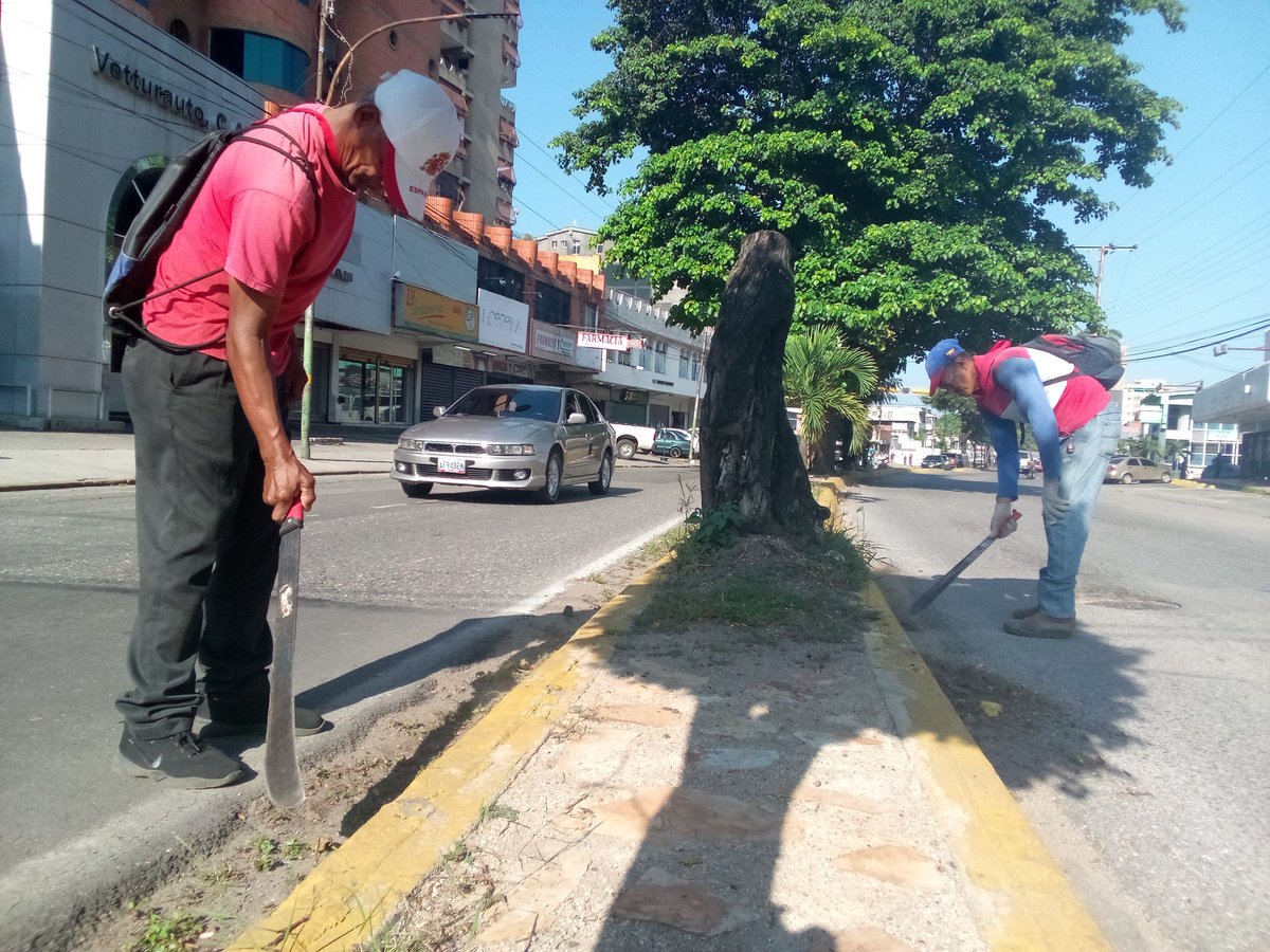 Instit12Febrero's tweet photo. #28Ago Damos inicio de semana en la Av. Victoria realizando labores de mantenimiento de islas central.
#RibasVuelveASonreir #GobernamosParaServir https://t.co/qR6YFOhC53