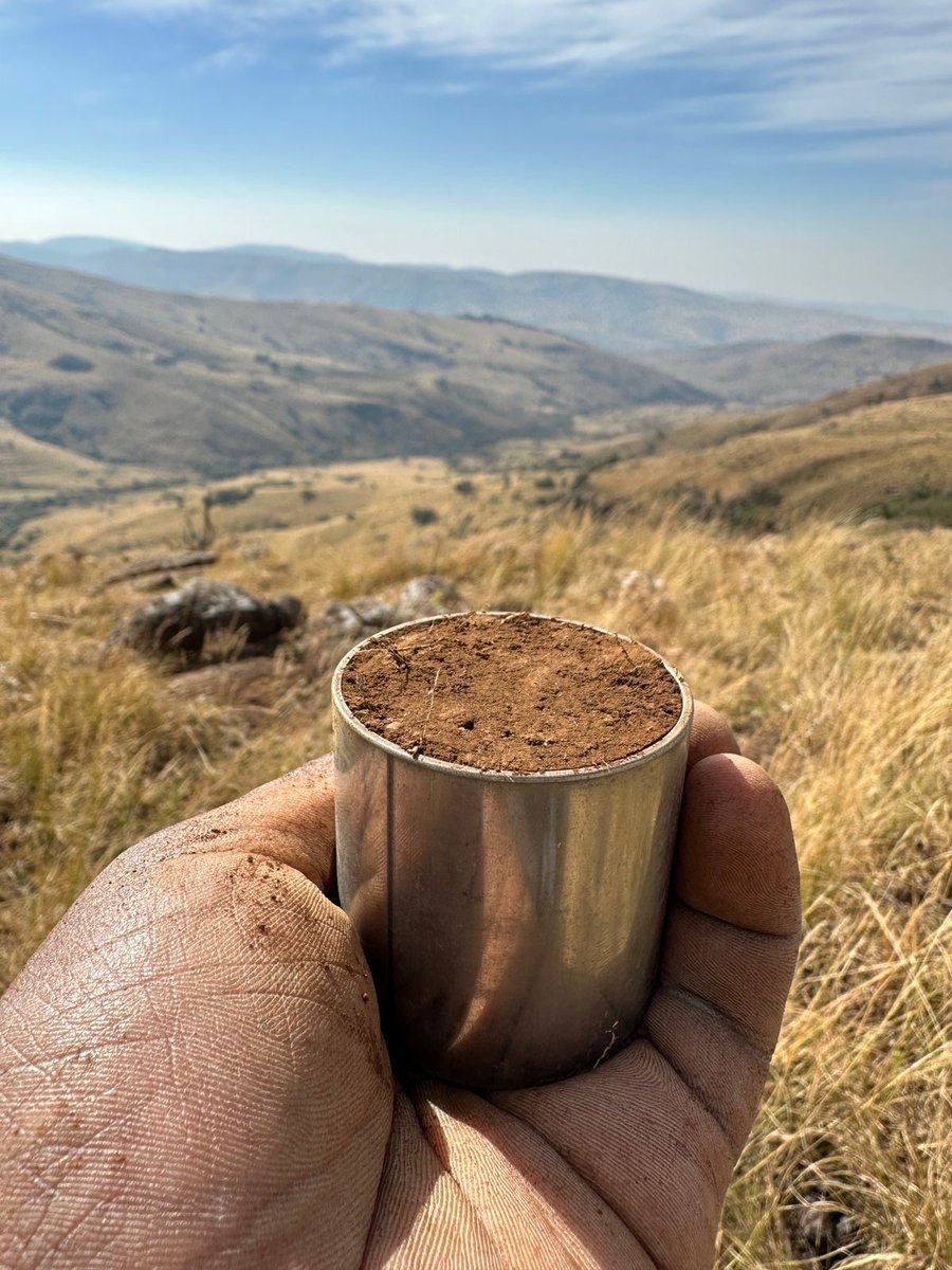 meatnaturallySA's tweet photo. Spent the day on the field with our RRAs- soil sampling. This scientific process involves carefully extracting small volumes of soil for subsequent laboratory analysis. This is to determine soil texture, soil classification, and how much soil carbon is stored in the rangelands. https://t.co/CLOqvjXgLa