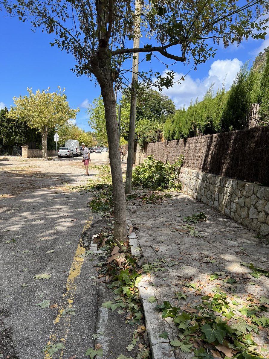 bryce_isobel's tweet photo. The clear up process following yesterdayโs storms in #Mallorca continued today. Branches piled up and a lot of debris still around but the emergency services have been brilliant. Much better weather if still a bit unsettled @KWTWeather #Valdemossa #Deia #PortDeSoller https://t.co/KvN9KYVHn7