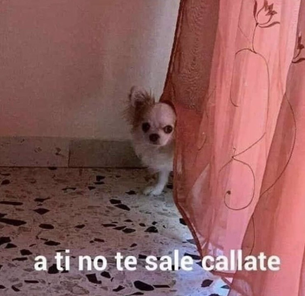 alguien: *dice una frase mía*

yo:
