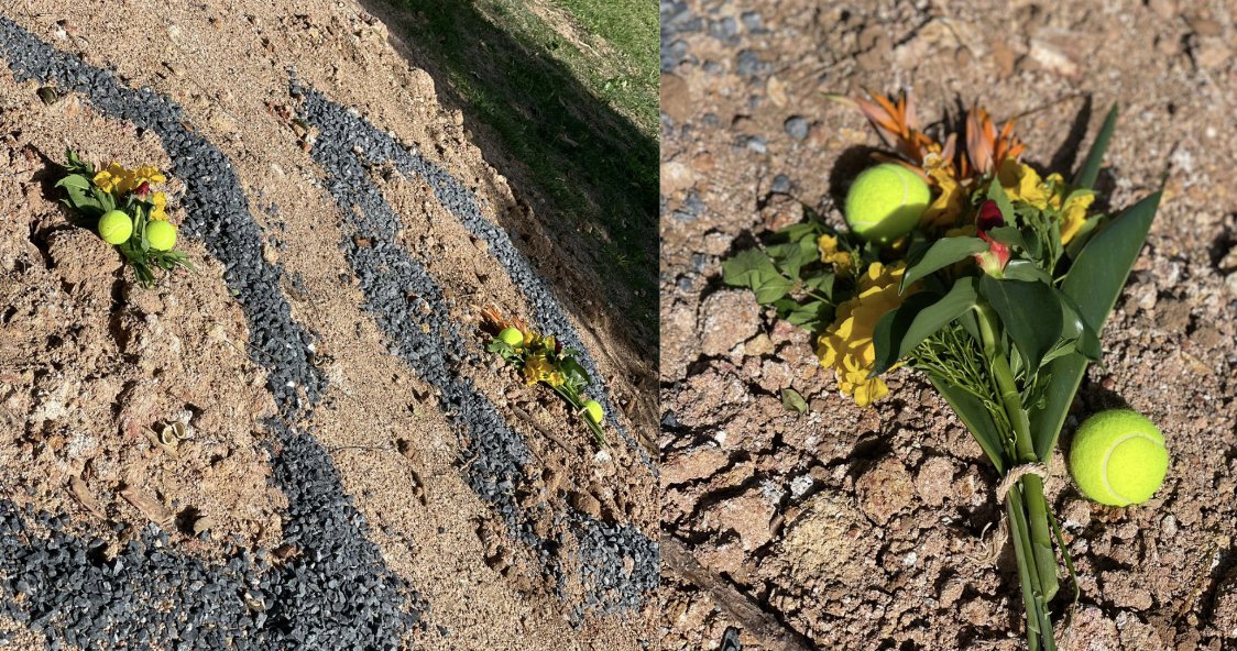 NiallHarbison's tweet image. Thank You For Everything Snoop - You Were My Superhero 💔

After over 11 wonderful years of tremendous company I am starting a week without my best friend. Snoop died last Friday morning and it feels like I have lost a part of my very being, such was his importance to me. He was…