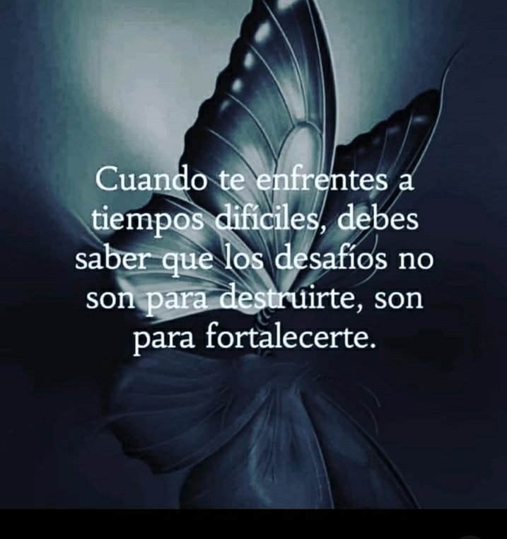 Esta Marea Azul va a seguir su lucha,firme, con fuerza, con tesón;  sin prisas pero sin pausas. Día a día gritaremos a una parte de sociedad manipulada por una productora,LFDLT,que MIENTEN, MANIPULAN,QUE LA JUSTICIA SE HA PRONUNCIADO, R.C no es Víctima de nada.
#YoMeRebelo28A