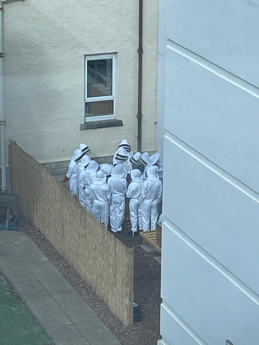 So excited to get started this morning. Everyone did so so well! (Massive thanks to <a href="/mgs_dias/">MGS Mrs Dias</a> for taking the photo that looks like we are investigating a crime scene 😂)