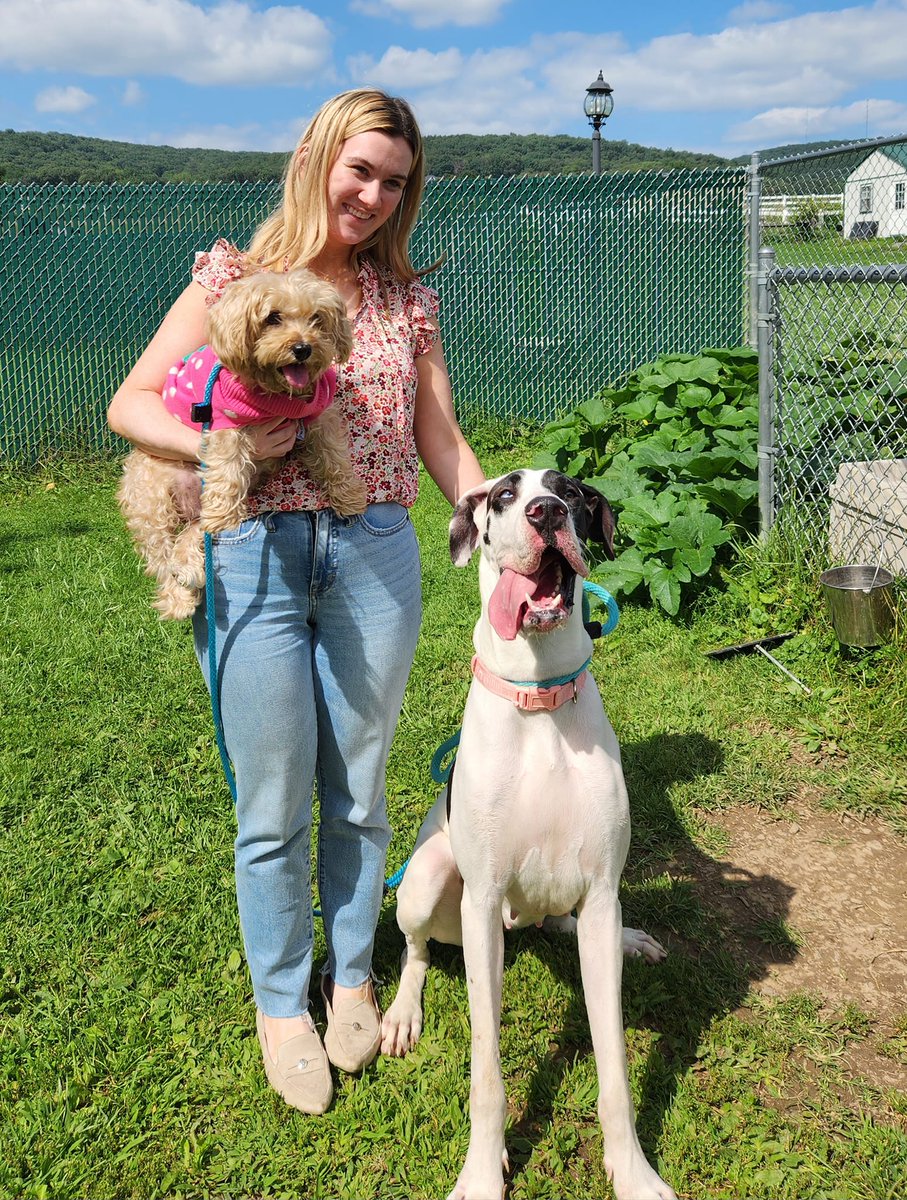 “It’s time to start living the life you’ve imagined.”

On Saturday, 127 animals across our four sites got to stop imagining what their lives would be like, and start living them. 

 Happy tails ❤️ #CleartheShelters